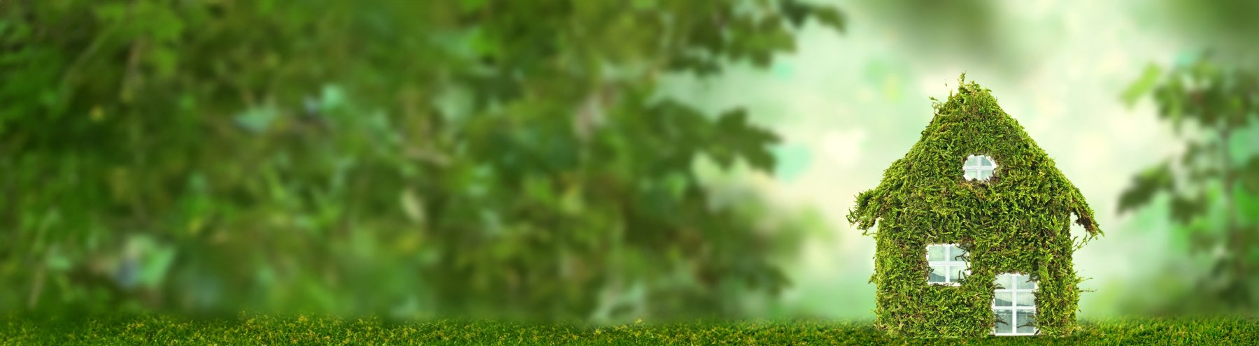 Ein kleines Modellhäuschen mit Moosbewachsen steht im grünen Wald.