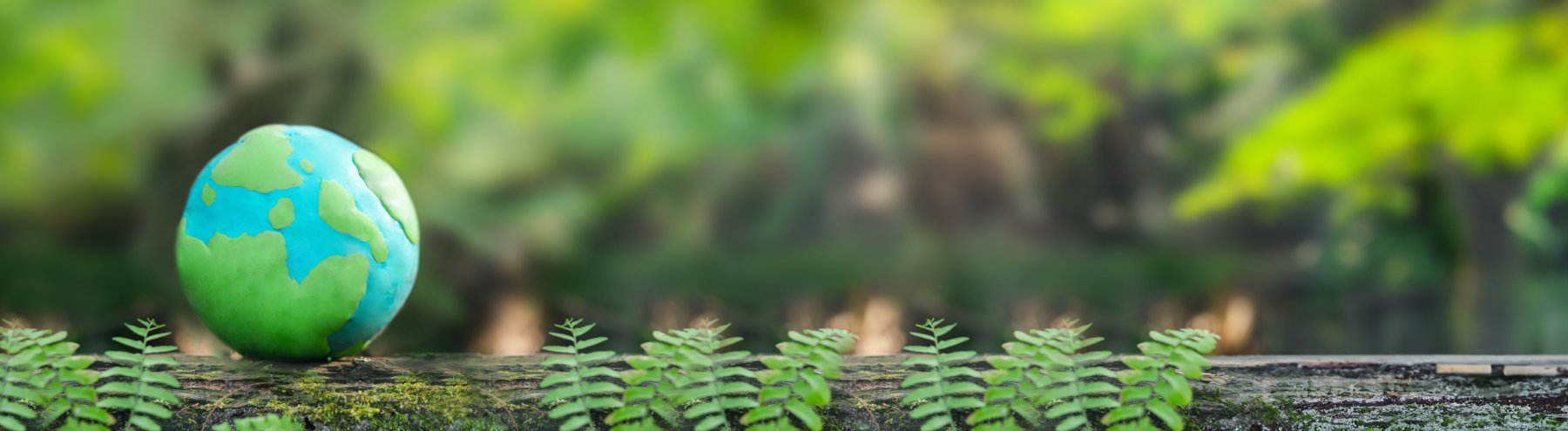 Erde Erde aus Knetmasse liegt in einem grünen Wald auf einem Baumstumpf.