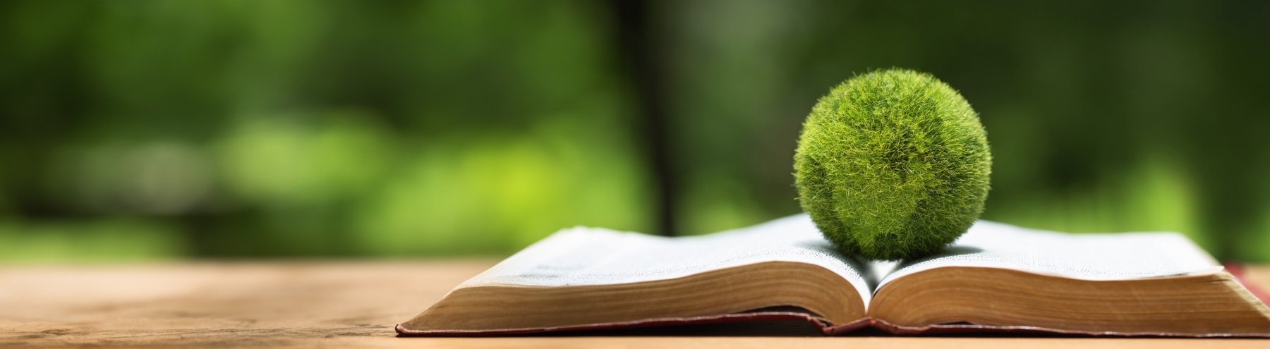 Klimabildung In einem geöffnetem Buch das in einem Wald liegt, liegt eine Weltkugel die aus Moos geformt ist. Das Bild ist vorwiegend grün.