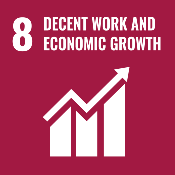 Global Goals Icons